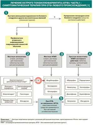 Сыпной тиф лечение и консультация Санкт-Петербург медицинский центр в  Санкт-Петербурге