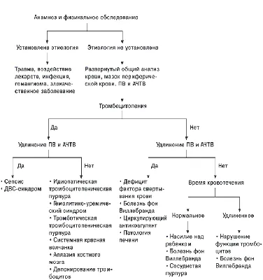 Острый лейкоз у детей, клиника. | Презентации Гематология | Docsity