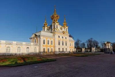 Обои 7006-4 A.Grifoni Palazzo Peterhof - цена, фото | Купить обои 7006-4  Palazzo Peterhof в интернет-магазине