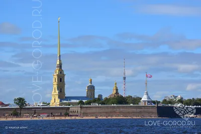 Колокольня Петропавловского собора. Петропавловская крепость. Фото  Санкт-Петербурга