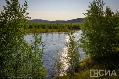 поздравление#церковь#петров#день#петр#павел | TikTok