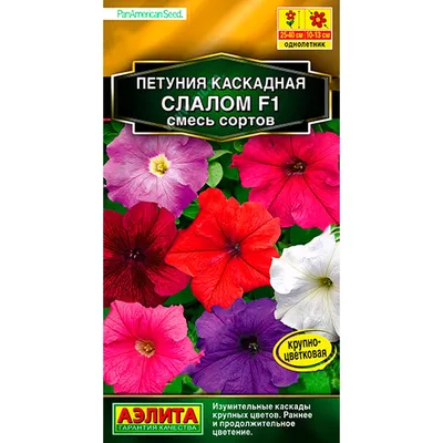 Петуния махровая \"Petunia\" купить по цене цена по запросу от питомника  саженцев и растений Центросад | Фото и консультация по уходу