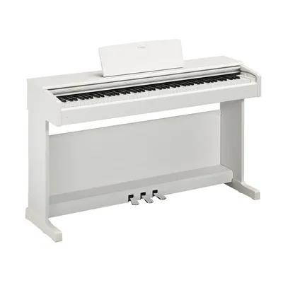 Купить Детское пианино KORG Tinypiano PK по цене 24 400 руб. на официальном  сайте представителя Korg в Москве и России