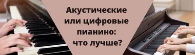 Цифровое пианино клавиши . 88: 550 USD ➤ Пианино, фортепиано | Бишкек |  71469199 ᐈ lalafo.kg