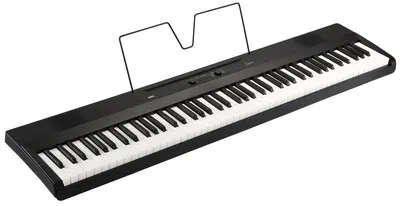 Solista DP600 WH Цифровое пианино купить в Минске - Musicpro.by