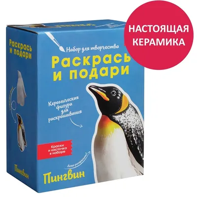 Хохлатый пингвин | Пикабу