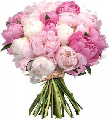 Розовые пионы в корзине за 28 690 руб. | Бесплатная доставка цветов по  Москве