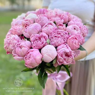 Пионы: микс из белых и розовых пионов с листьями эвкалипта по цене 13469 ₽  - купить в RoseMarkt с доставкой по Санкт-Петербургу