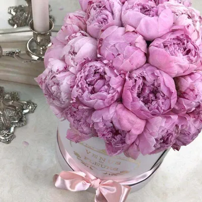 Яркие розовые пионы Голландия | купить недорого | доставка по Москве и  области | Roza4u.ru