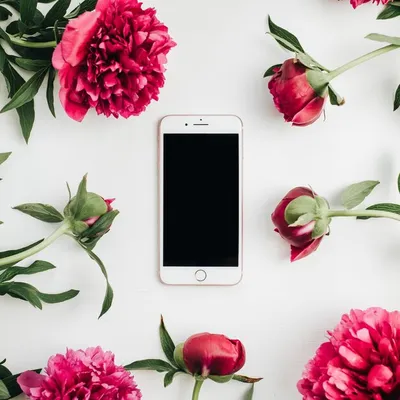 Симпатичные розовые пионы и телефон с пустым экраном на деревенской белизне  Стоковое Изображение - изображение насчитывающей экземпляр, стол: 115217511