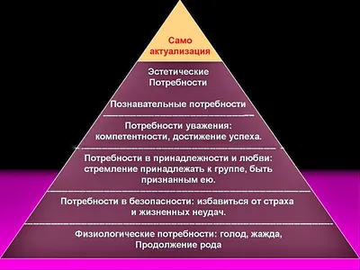 Пирамида потребностей по Маслоу - главные принципы и структура