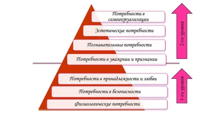 Пирамида потребностей Маслоу: главные принципы и структура | Forbes Life