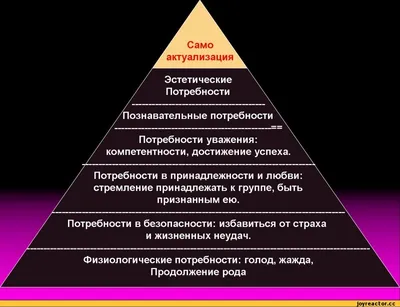 Как стать богатым и знаменитым. Или Почему пирамида Маслоу не работает | Не  ваши деньги | Дзен