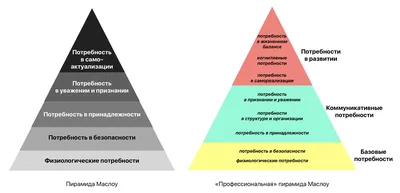 Пирамида потребностей Маслоу: главные принципы и структура | Forbes Life