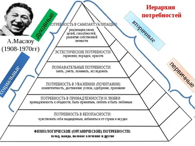 Пирамида потребностей Маслоу: ключ к выбору карьеры