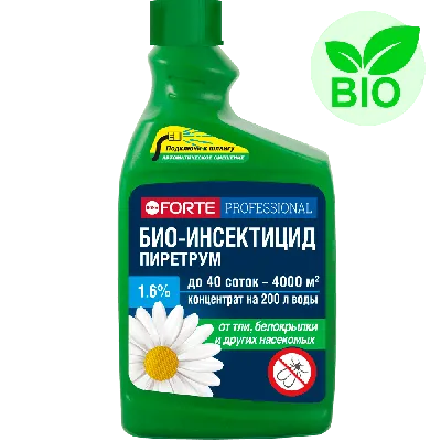 Пиретрум девичий Алая звезда 0,1 г Детская грядка, семена многолетних  цветов для сада и балкона в грунт, семена многолетников | AliExpress