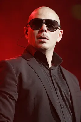 Pitbull | Miami FL