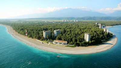 Зимняя Пицунда повергла нас в полный шок! Разруха и горы мусора на  знаменитой набережной, заброшенные отели и ни души вокруг... |  Надюшка-путешественница | Дзен