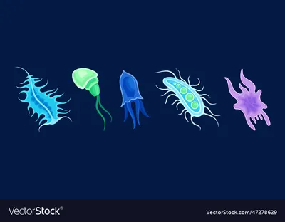 Plankton water organism with tentacles free Vector Image