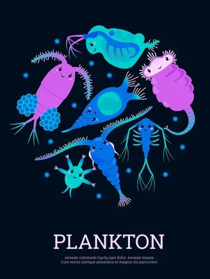 Microscopic plankton under microscope a flat Vector Image