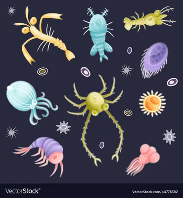 Premium Vector | Plankton with green and yellow body and short tentacles  vector illustration on white background