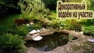 Строительство искусственных прудов - декоративные водоемы под ключ