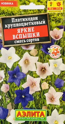 Семена цветов :: Горшечные :: Платикодон :: Платикодон крупноцветковый  Астра / Astra Semi-Double Pink семена
