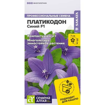 Семена Платикодон Крупноцветковый Голубой 0,1 грамма SeedEra: продажа, цена  в Харькове. Семена и клубни трав и цветов от \"Агроплюс2000\" - 1705372068