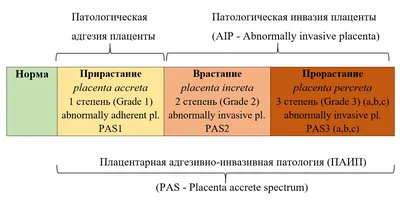 Плацента композитум купить, цена в Москве, Плацента композитум инструкция  по применению: ампулы