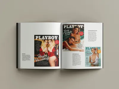 Playboy Icons, Special Edition, Die schönsten Playboystars in  Nordrhein-Westfalen - Paderborn | eBay Kleinanzeigen ist jetzt Kleinanzeigen