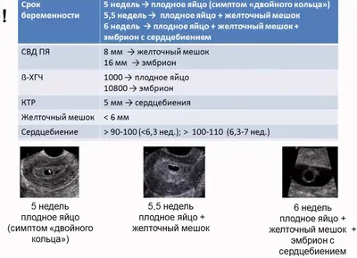 УЗИ малого таза - Можно ли перепутать миому и плодное яйцо? - Фото ::  Вопрос врачу УЗИ - Расшифровка результатов, консультация :: Форум - Для  врачей УЗИ :: Uzgraph.ru - мобильная версия