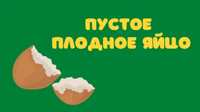 УЗИ ЦЕНТР ТАРАЗ on Instagram: \"Две матки, в одной расположено плодное яйцо,  в одной высокий эндометрий.\"