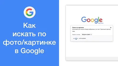 Корову на картинке видят все, а доярку заметят только 3% людей - Питомцы  Mail.ru