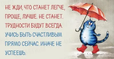 Подводим итоги вчерашнего насыщенного дня | Приют \"Надежда\" [г. Улан-Удэ] |  Дзен