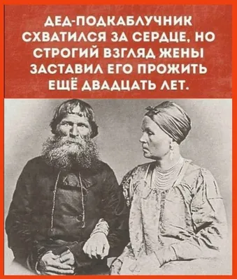 войско подкаблучников (Бердиев Азнаур Шамильевич) / Стихи.ру