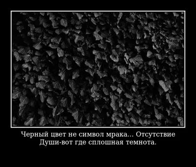 Красивые и прикольные статусы: 500 ярких цитат со смыслом