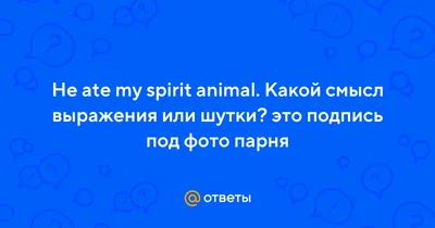 КРАФТ ПАКЕТЫ Сегодня не будет много информации. Не вижу в этом смысла.  Поэтому легкий и ненапряжный, но информативный, пост😉 ⠀ Крафт… | Instagram