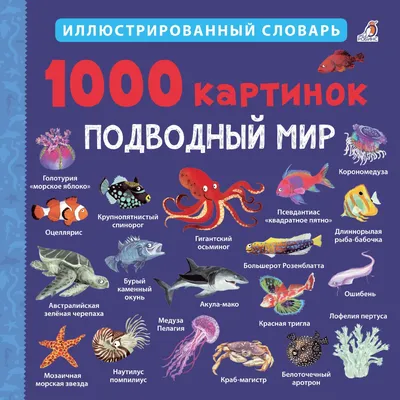 Подводный мир картинки - 69 фото