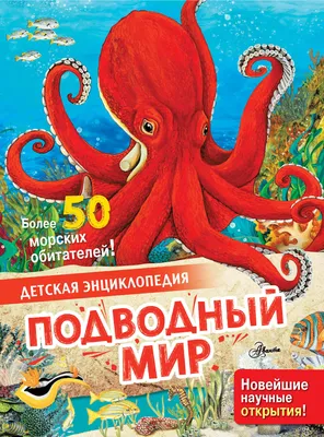 Подводный мир, Море, Дно, Кораллы, Лучи света, Рыбки (7776x4942) - обои для  рабочего стола