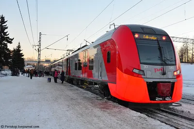 Отзыв о Скоростной поезд РЖД \"Ласточка\" Москва - Курск | \"Ласточка\"  опережает \"Соловья\" не только по скорости, но и по комфорту