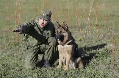 Магнит виниловый (гибкий) \"Пограничные войска ФСБ России\",флаг,пограничный  столб, арт.М - военторг каталог товаров