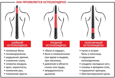 Поясница: причины боли, методы лечения и профилактика болезней поясничного  отдела позвоночника