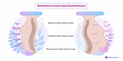 Отзывы о книге «Поясница без боли. Уникальный изометрический тренинг»,  рецензии на книгу Игоря Борщенко, рейтинг в библиотеке Литрес