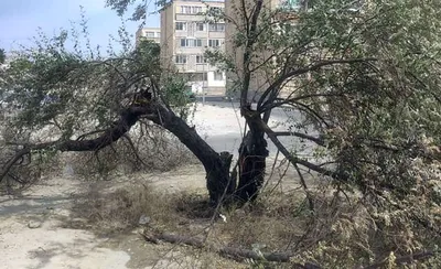 Показуха». Родители объявили бойкот шуйской школе: ее открывают, хотя  здание явно не готово | 07.11.2023 | Новости Петрозаводска - БезФормата