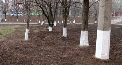 📌ПОКАЗУХА... С помощью чего человек может излечить свою душу, побуждающую  его к показухе. #поле.. | ВКонтакте