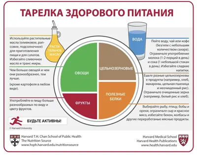 Материалы на тему Похудение – Блог ДОНСПОРТ