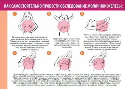 Самообследование груди - руководство по шагам - ПрофиМед