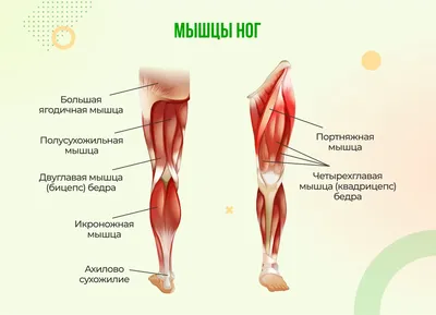 Переломы стопы, лечение и реабилитация после переломов в Москве