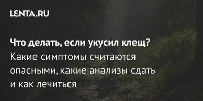 Роспотребнадзор назвал основные признаки заражения болезнью Лайма - Мослента