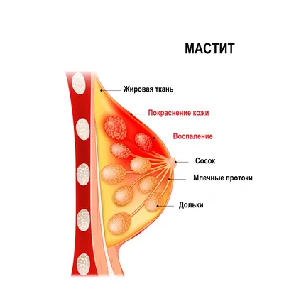 Медицинские новости - БУЗ РА «Центр по профилактике и борьбе со СПИД»